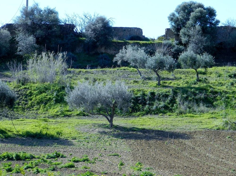 Agriturismo Passo Dei Briganti Agrigente Extérieur photo